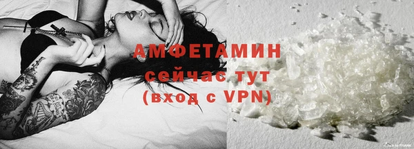 PSILOCYBIN Аркадак